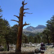 SouthernSierra 201 : SouthernSierra